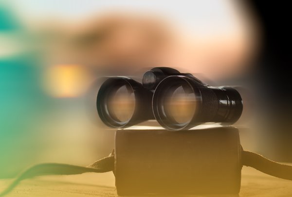 A pair of binoculars resting on the binoculars' case.