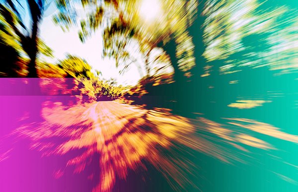 A road winding through a forest.