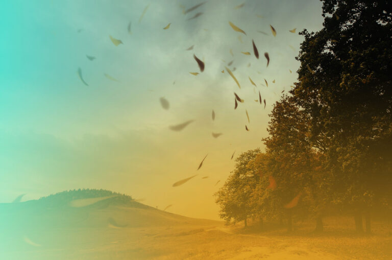 Leaves swirling in the air in front of trees and a hill.